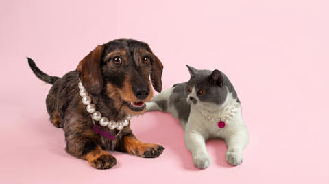 Doggystyle Pearls